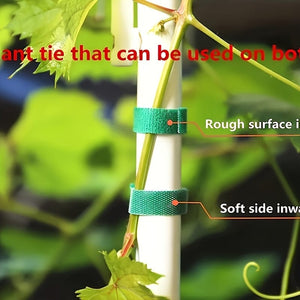 Planet Gates 10pcs 10pcs garden cable tie plant holder for efficient growth, reusable strong handle, adjustable cable tie, 39.4 inches/roll