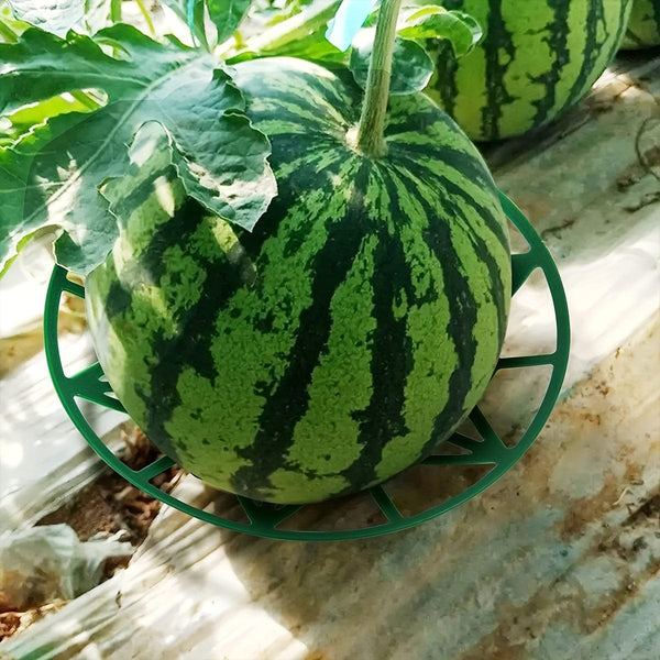 Planet Gates 10pcs 10pcs, Gardening Melon And Fruit Tray, Household Watermelon Tray, Garden Fruit Anti- Rotting Bracket, Plastic Stable Tray, Watermelon Shelf