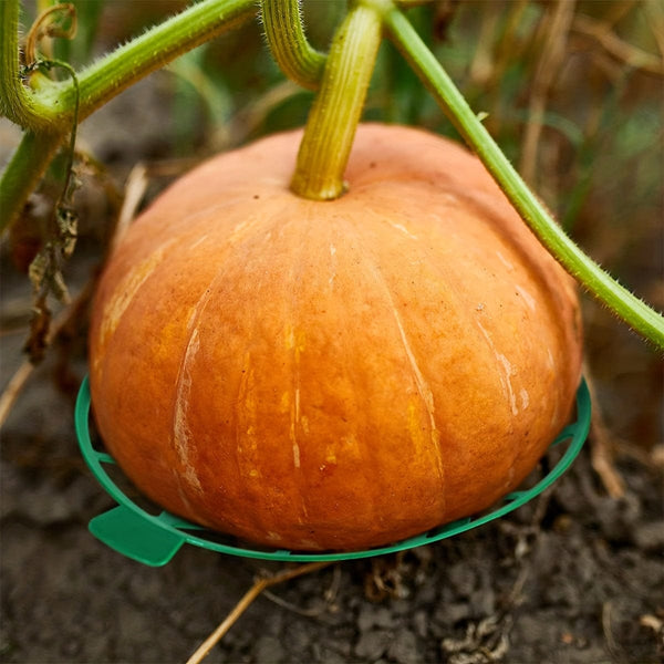 Planet Gates 10pcs 10pcs, Gardening Melon And Fruit Tray, Household Watermelon Tray, Garden Fruit Anti- Rotting Bracket, Plastic Stable Tray, Watermelon Shelf