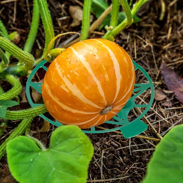 Planet Gates 10pcs 10pcs, Gardening Melon And Fruit Tray, Household Watermelon Tray, Garden Fruit Anti- Rotting Bracket, Plastic Stable Tray, Watermelon Shelf