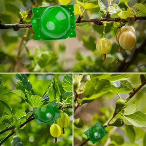 Planet Gates 10pcs/20pcs, Tree Root Planting Box, Rooting Ball Transplant Tool, Plant Root High Pressure Box Grafting Cuttings Root Device, Air Layer Pod, For Plant Cutting Seedlings For Plant