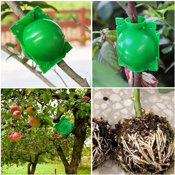 Planet Gates 10pcs/20pcs Tree Root Planting Box, Rooting Ball Transplant Tool, Plant Root High Pressure Box Grafting Cuttings Root Device, Air Layer Pod, For Plant Cutting Seedlings For Plant