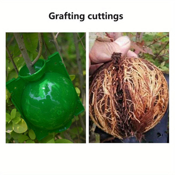 Planet Gates 10pcs/20pcs Tree Root Planting Box, Rooting Ball Transplant Tool, Plant Root High Pressure Box Grafting Cuttings Root Device, Air Layer Pod, For Plant Cutting Seedlings For Plant