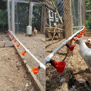 Planet Gates 10Pcs Automatic Chicken Quail Drinker Bowl Bird Water Cups Straight Pipe With Yellow Nipple Poultry Drinking Water System