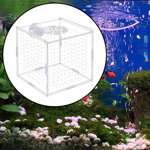 Planet Gates 10x10x10cm Aquarium Isolation Box Multifunction Aquarium Supply Fish Breeding Holder for Newborn Fry Guppy Aggressive fish babies prawn