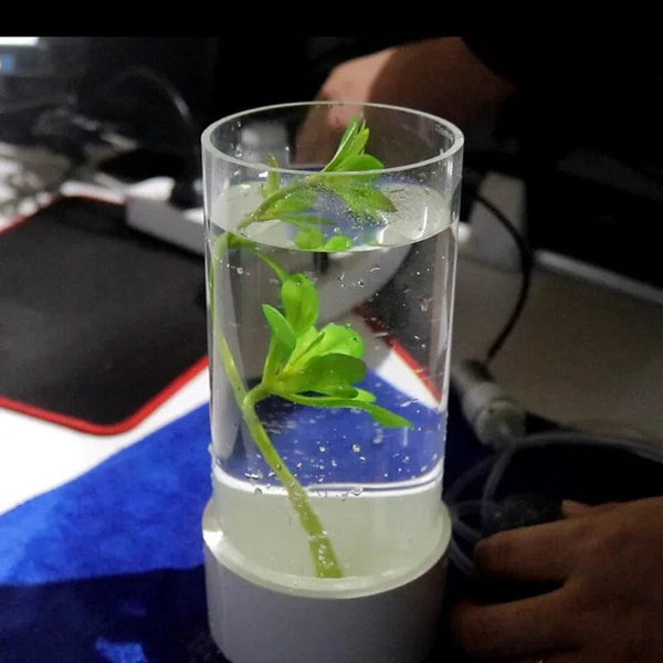 Planet Gates 110mm~160mm Transparent Clear Acrylic Pipe DIY Home Decoration Stress Relief MINI Aquarium Fish Tank Accessories PMMA Tube