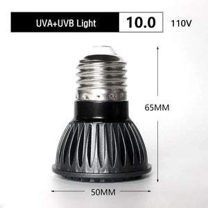 Planet Gates 110V  10.0 UVA + UVB LED Reptile Light Turtle Basking Platform Full Spectrum Sun Lamp Sunbathe Heat Lamp for Lizard Reptiles and Amphibians