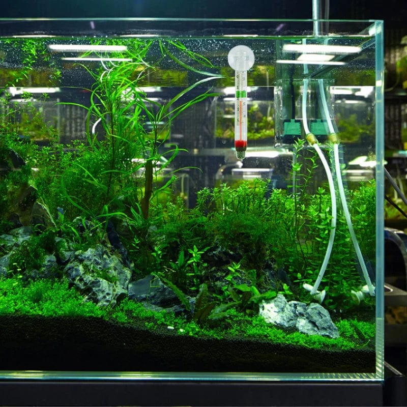 Planet Gates 11CM Floating Aquarium Thermometer Fish Tank Glass Temperature Measuring Tool With Suction Cup Fahrenheit Celsius Accessories