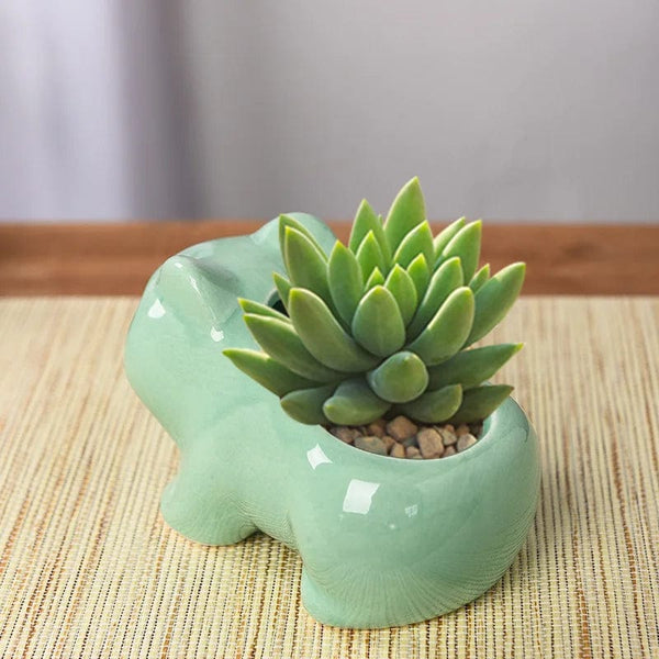 Planet Gates 11X6.5X7 Creative Ceramic Mini Flowerpot Succulent Planter Cute Green Plants Planter Flower Pot with Hole Home Garden Decoration outdoor