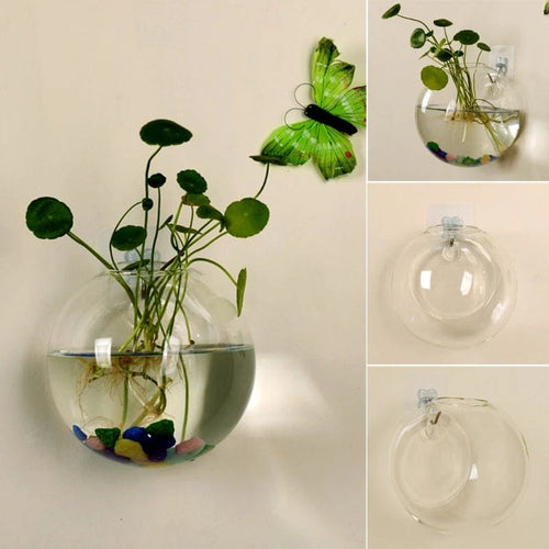 Planet Gates 12cm Transparent Glass Vase Wall Hanging Hydroponic Terrarium Fish Tanks Potted Plant Flower Pot Dia 8cm/10cm/12cm