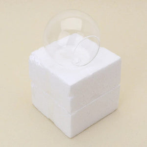 Planet Gates 12cm Transparent Glass Vase Wall Hanging Hydroponic Terrarium Fish Tanks Potted Plant Flower Pot Dia 8cm/10cm/12cm