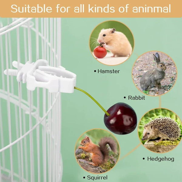 Planet Gates 12pcs 12pcs Birds Food Holder Pet Parrot Feeding Fruit Vegtable Clip Cuttlefish Bone Feeder Device Pin Clamp Bird Cage Accessories