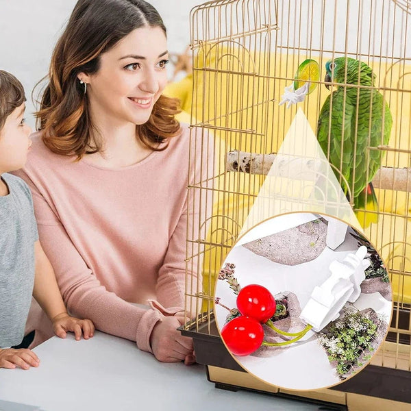 Planet Gates 12pcs 12pcs Birds Food Holder Pet Parrot Feeding Fruit Vegtable Clip Cuttlefish Bone Feeder Device Pin Clamp Bird Cage Accessories