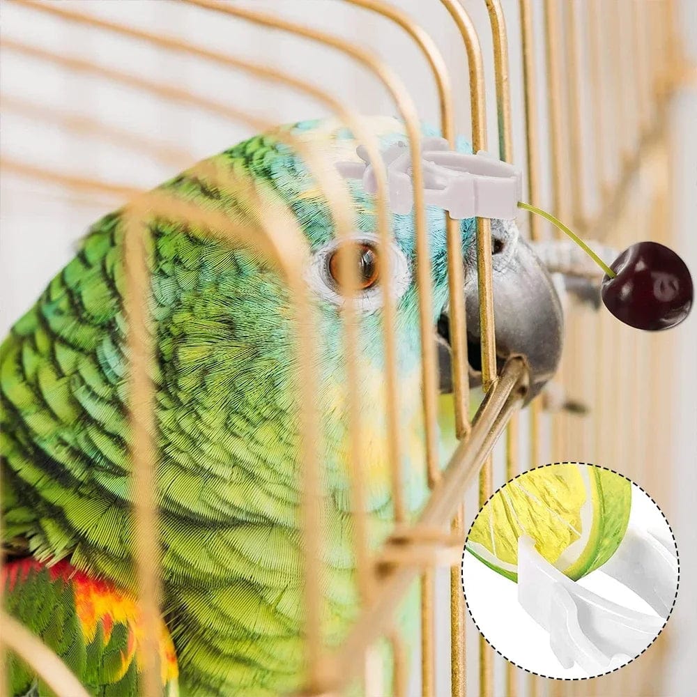 Planet Gates 12pcs 12pcs Birds Food Holder Pet Parrot Feeding Fruit Vegtable Clip Cuttlefish Bone Feeder Device Pin Clamp Bird Cage Accessories
