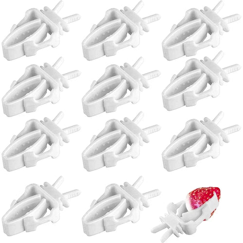 Planet Gates 12pcs 12pcs Birds Food Holder Pet Parrot Feeding Fruit Vegtable Clip Cuttlefish Bone Feeder Device Pin Clamp Bird Cage Accessories