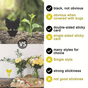 Planet Gates 12pcs Black Sticky Fly Trap Gnats Insect Traps Dual Sided Fly Catcher Plant Pest Control Strong Glue For Aphids Mosquitoes