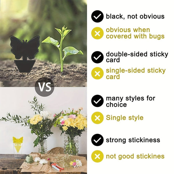 Planet Gates 12pcs Black Sticky Fly Trap Gnats Insect Traps Dual Sided Fly Catcher Plant Pest Control Strong Glue For Aphids Mosquitoes