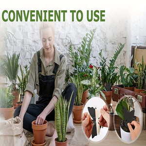 Planet Gates 12pcs Black Sticky Fly Trap Gnats Insect Traps Dual Sided Fly Catcher Plant Pest Control Strong Glue For Aphids Mosquitoes