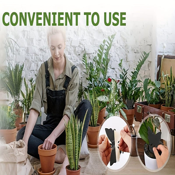 Planet Gates 12pcs Black Sticky Fly Trap Gnats Insect Traps Dual Sided Fly Catcher Plant Pest Control Strong Glue For Aphids Mosquitoes