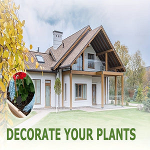 Planet Gates 12pcs Black Sticky Fly Trap Gnats Insect Traps Dual Sided Fly Catcher Plant Pest Control Strong Glue For Aphids Mosquitoes