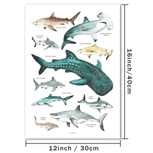 Planet Gates 12×16in (30×40cm) Unframed 1pc Various Sharks Canvas Wall Art, Sharks Prints On Canvas, Shark Species Wall Art Poster, Wall Decor For Nursery Kids Room Bathroom Bedroom Office Living Room Home Wall Decor