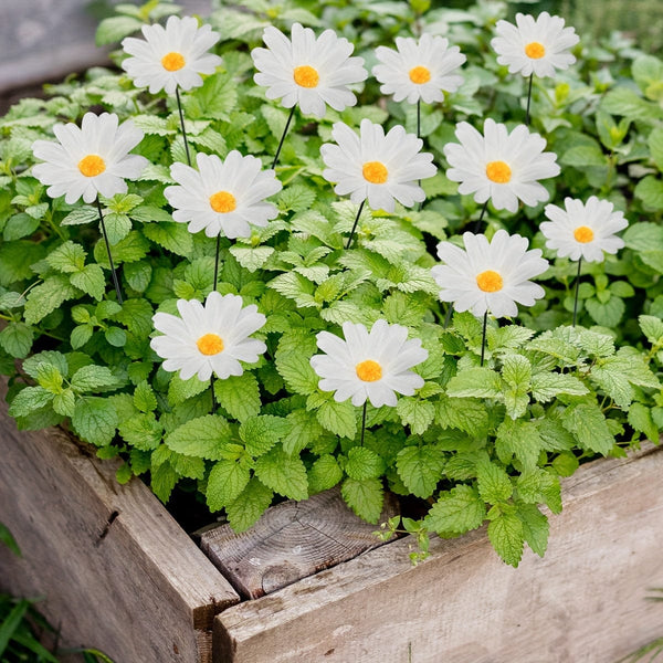 Planet Gates 14*38*2cm 10pcs, Spring Outdoor Floor Inserts, Outdoor Garden Decorations, Landscape Yard Villa Simulation Sunflower Flower Lawn Stake Inserts, Yard Decor, Garden Decor