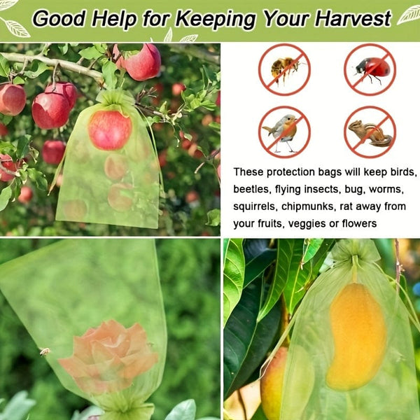 Planet Gates 15.24x22.86 Cm / 50pcs 50pcs Fruit Protection Bags 20.32x30.48 Cm, Netting Cover Bags Drawstring Mesh Fruit Protectors Pest Barrier For Grapes Mango Fruit Trees Veggies Garden