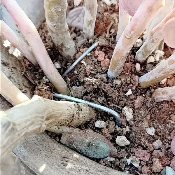 Planet Gates 15/25pcs Galvanized Garden Landscape Pin, U-shaped Lawn Fabric Landscape Pin For Safety Garden Flower Plants Supplies, Garden Balcony Planting Supplies, Planters & Container Accessories