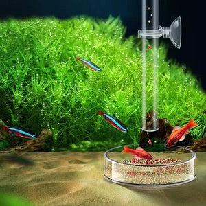Planet Gates 15cm feeder set Acrylic Aquarium Feeder Tube Dish Transparent Fish Tank Shrimp Snail Shrimp Food Feeder Bowl Aquarium Feeding Accessories