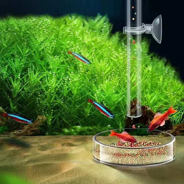 Planet Gates 15cm feeder set Acrylic Aquarium Feeder Tube Dish Transparent Fish Tank Shrimp Snail Shrimp Food Feeder Bowl Aquarium Feeding Accessories