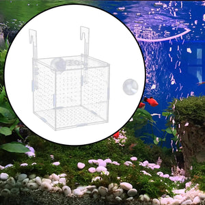 Planet Gates 15x15x15cm and hook Aquarium Isolation Box Multifunction Aquarium Supply Fish Breeding Holder for Newborn Fry Guppy Aggressive fish babies prawn