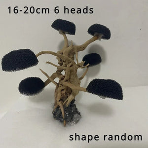 Planet Gates 16-20cm 6 heads Fish Tank Plant Moss Tree Decorations Landscaping Wood Plant Root Driftwood Aquatic Plants Grass Aquarium Accessories (No Moss)