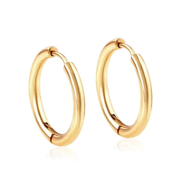 Planet Gates 16mm / E5-2PCS-Rose Golden 2Pcs Small Hoop Earrings for Women Men, Silver Color Stainles Steel Round Circle Pendientes Mujer 2023 Hypoallergeic