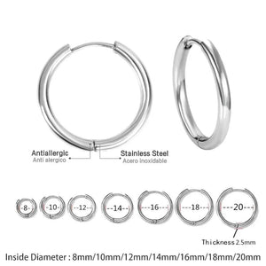 Planet Gates 16mm / E5-2PCS-Rose Golden 2Pcs Small Hoop Earrings for Women Men, Silver Color Stainles Steel Round Circle Pendientes Mujer 2023 Hypoallergeic