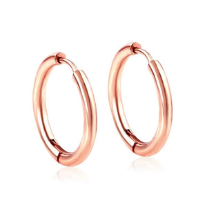 Planet Gates 16mm / E5-2PCS-Rose Golden 2Pcs Small Hoop Earrings for Women Men, Silver Color Stainles Steel Round Circle Pendientes Mujer 2023 Hypoallergeic