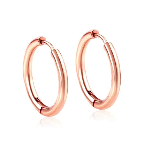 Planet Gates 16mm / E5-2PCS-Rose Golden 2Pcs Small Hoop Earrings for Women Men, Silver Color Stainles Steel Round Circle Pendientes Mujer 2023 Hypoallergeic