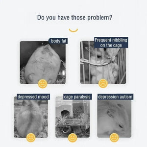 Planet Gates 1C 24cm Hamster Running Rotating Car Hamster Sport Mute Wheel Toy Clear Rotatory Jogging Wheel Small Pet Sports Exercise Cage