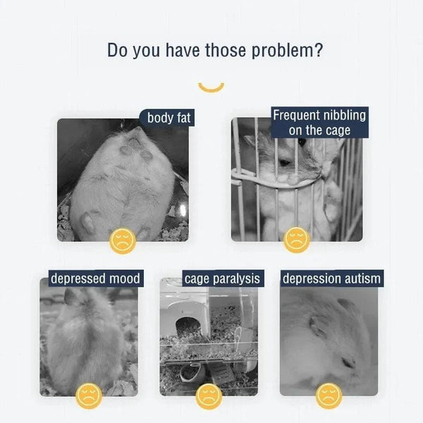 Planet Gates 1C 24cm Hamster Running Rotating Car Hamster Sport Mute Wheel Toy Clear Rotatory Jogging Wheel Small Pet Sports Exercise Cage