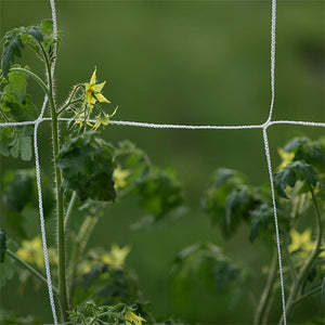 Planet Gates 1pc, 121.92cm*243.84cm/152.4cm*4.57meter Plant Climbing Net, Support Climbing Plants And Resist Bad Weather Conditions. Use It To Support Tomatoes, Cucumbers, Beans, And Other Climbing Plants. Just Use A Rope Or Clip To Hang