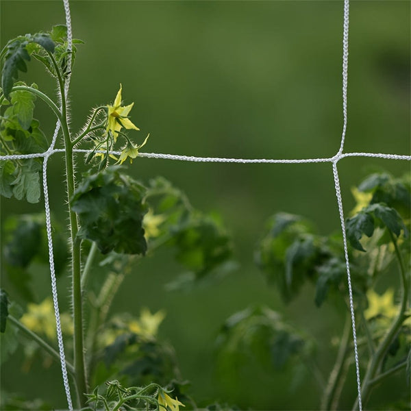 Planet Gates 1pc, 121.92cm*243.84cm/152.4cm*4.57meter Plant Climbing Net, Support Climbing Plants And Resist Bad Weather Conditions. Use It To Support Tomatoes, Cucumbers, Beans, And Other Climbing Plants. Just Use A Rope Or Clip To Hang