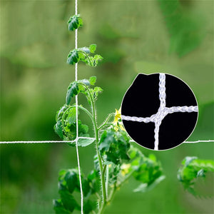 Planet Gates 1pc, 121.92cm*243.84cm/152.4cm*4.57meter Plant Climbing Net, Support Climbing Plants And Resist Bad Weather Conditions. Use It To Support Tomatoes, Cucumbers, Beans, And Other Climbing Plants. Just Use A Rope Or Clip To Hang