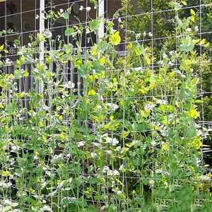 Planet Gates 1pc, 121.92cm*243.84cm/152.4cm*4.57meter Plant Climbing Net, Support Climbing Plants And Resist Bad Weather Conditions. Use It To Support Tomatoes, Cucumbers, Beans, And Other Climbing Plants. Just Use A Rope Or Clip To Hang