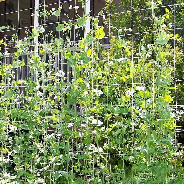 Planet Gates 1pc, 121.92cm*243.84cm/152.4cm*4.57meter Plant Climbing Net, Support Climbing Plants And Resist Bad Weather Conditions. Use It To Support Tomatoes, Cucumbers, Beans, And Other Climbing Plants. Just Use A Rope Or Clip To Hang