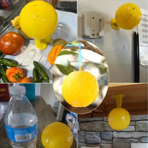 Planet Gates 1pc 1pc, Sticky Insect Ball, Fruit Fly Ball Fly Ball Sticky Insect Ball, Mosquito Ball Insect Catcher, Suitable For Yard Kitchen Orchard Pest Control