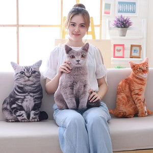Planet Gates 1pc 50cm Simulation Plush Cat Pillows Soft Stuffed Animals Cushion Sofa Decor Cartoon Plush Toys for Children Kids Gift