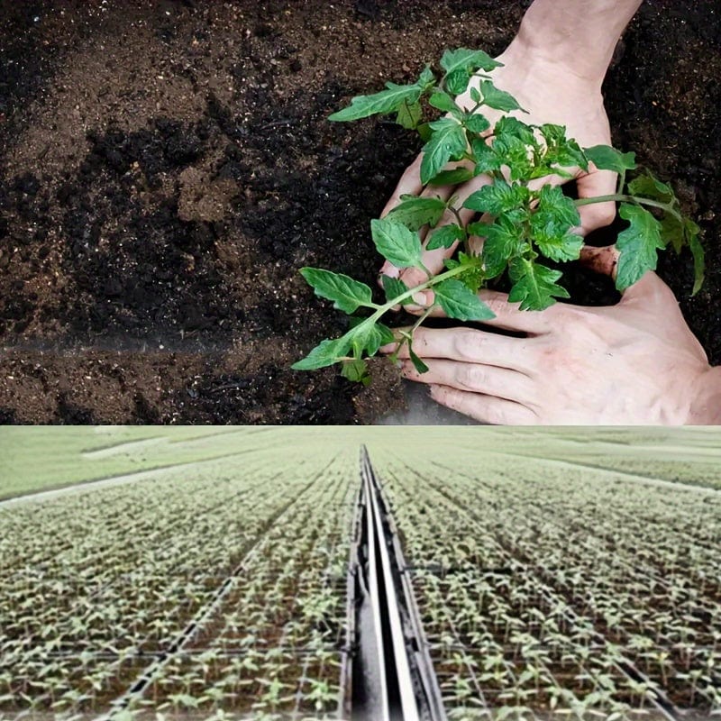 Planet Gates 1pc 50pcs, Starter Grow Cubes Hydroponics Starting Plant Propagation Soilless Cultivation Nutrient Peat Blocks For Plants Growing