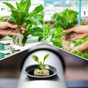 Planet Gates 1pc 50pcs, Starter Grow Cubes Hydroponics Starting Plant Propagation Soilless Cultivation Nutrient Peat Blocks For Plants Growing