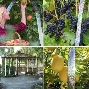 Planet Gates 1pc, Bird Scare Tape Bird Scare Repellent Flash Tape Reflective Holographic Double Sided Pigeon Scare Tape For Scaring Birds Away For Woodpeckers Gulls Crows Starlings Swallows