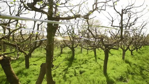 Planet Gates 1pc, Bird Scare Tape Bird Scare Repellent Flash Tape Reflective Holographic Double Sided Pigeon Scare Tape For Scaring Birds Away For Woodpeckers Gulls Crows Starlings Swallows