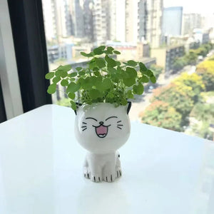 Planet Gates 1pc Ceramic Flowerpot Mini Cat Cartoon Cute Potted Plant Desktop Cat Plant Pot DIY Desk Decorate Science Education School Gifts
